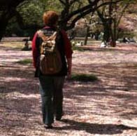 akihirosekiyama's profile picture. 仕事とプライベートの両立に奮闘中！