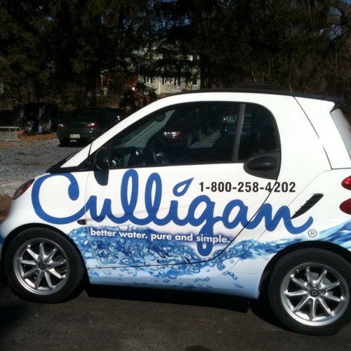 dmcglynn1's profile picture. 