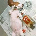 Ben Traylor - @Ben_Traylor - Twitter