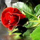 debra friend - @debby50 - Twitter