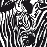 MaxxVision (@maxxvision) 's Twitter Profile