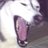 JECole78's profile image