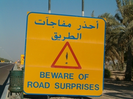 no_snow_eh's profile picture. Librarian by day, shark bait at dusk.