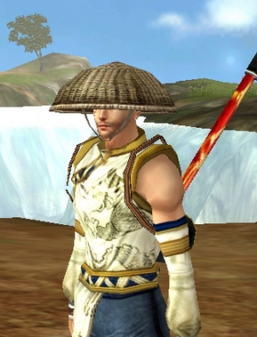 The first 9Dragons private server.
