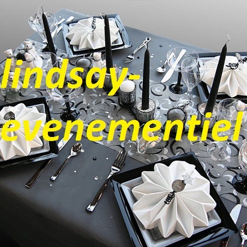 Lindsay-événementiel, entreprise située dans le Nord-Pas-de-Calais, se déplace sur toute la France. Nous vous proposons de s’occuper de votre événement.