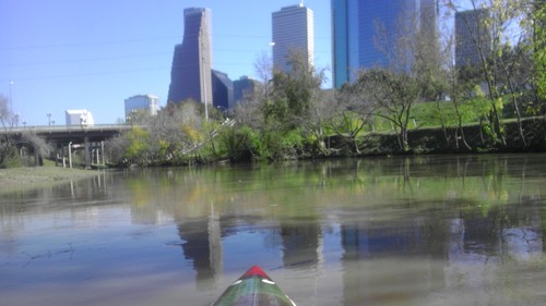 NE_fan's profile picture. 