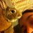 dDdenisa's profile image