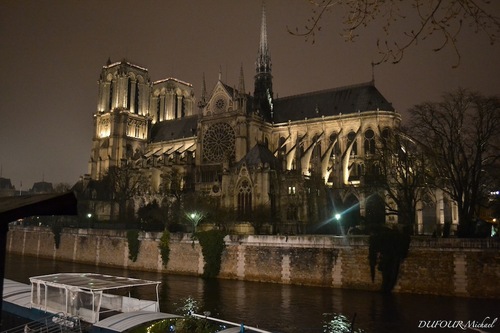 DufourMichael's profile picture. 