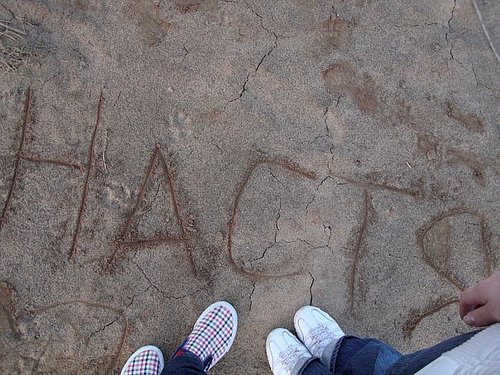 nastuama's profile picture. 