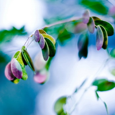 VisitForest's profile picture. 