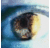 BBB_insider's profile image