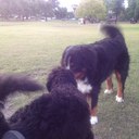 Fraser Stevens - @Fraser_Stevens - Twitter