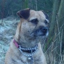 Beatrice Tucker - @Beatrice_Tweets - Twitter