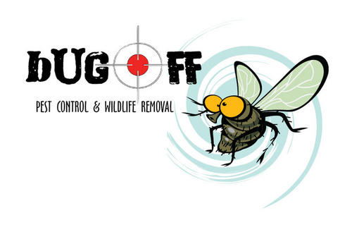 bugofftexas's profile picture. Best Pest & Wildlife Services in Austin area...Customized solutions for What's Bugging You!  See us at http://t.co/MtrhR23KXF or call 512.955.0080