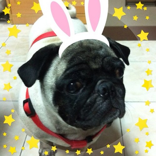 ninja222222's profile picture. 