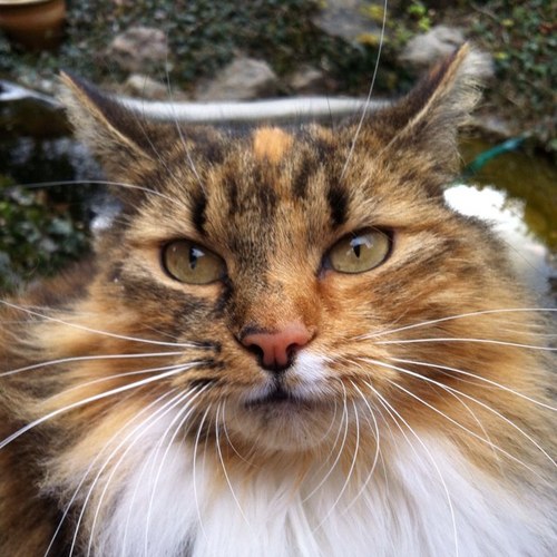 Dan_Handsie's profile picture. Event Equipment Design, Exhibition Stand Design, Manufacture, Bespoke joinery, all shop / office fit out work under taken, for Corporate and Public events.