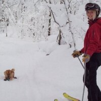 Sarah Neith Wojcik (@sarahwojcikvt) 's Twitter Profile
