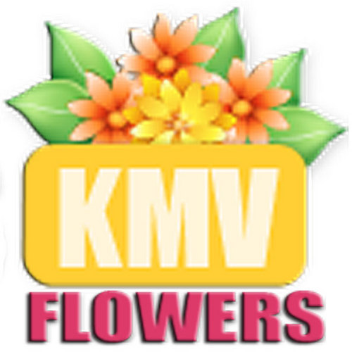 flowerskmv's profile picture. 