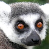 David Edington (@dwne) 's Twitter Profile Photo David Edington (@dwne) 's Twitter Profile Photo