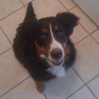 BrianTobin5's profile picture. IU grad. Attorney with 2 grown kids. I love dogs, bball & cycling. Proud Conservative American