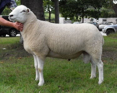 BenJamminQX's profile picture. minecraft.  minecraft.  minecraft.  minecraft.  more minecraft.