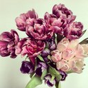 Fran Jenkins - @frankjenk - Twitter