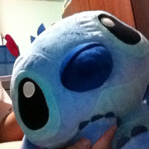 fengmingg's profile picture. U will never be replace !