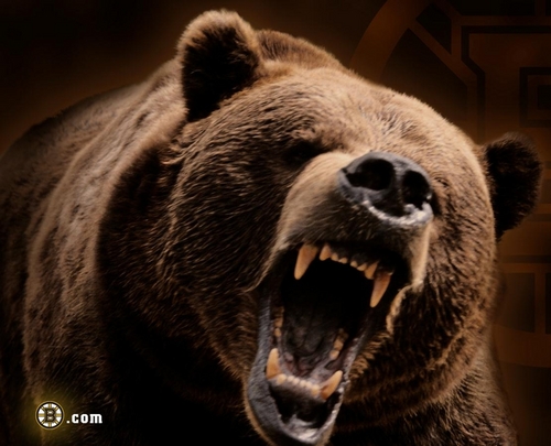 Bruins-Bear_large_1_.jpg