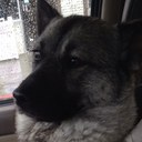 paul buxbaum - @paul_buxbaum - Twitter