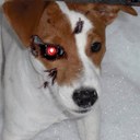 Eric McDonough - @DropkickEOM - Twitter