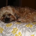 Bailey Riggs - @BaileyRiggs2 - Twitter