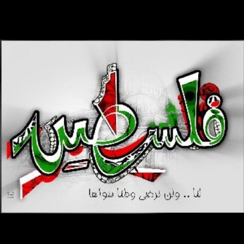 BantBaladi's profile picture. 