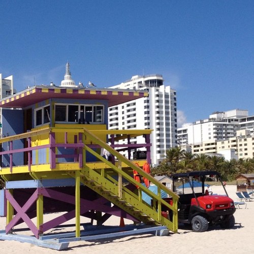 IacopiniCinzia's profile picture. 