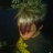 ThomasDude's profile image
