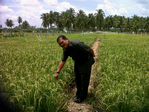 Paud's profile picture. Moslem.