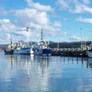 Moi241's profile picture. #Amateur photographer #Aspiring writer #Avid music follower #Tennis fan #Wine lover and #AgentofSHIELD in my spare time! I follow back and Retweet.