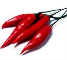 MaryDamasceno2's profile picture. Escorpião de ascendente escorpião🤔🌹