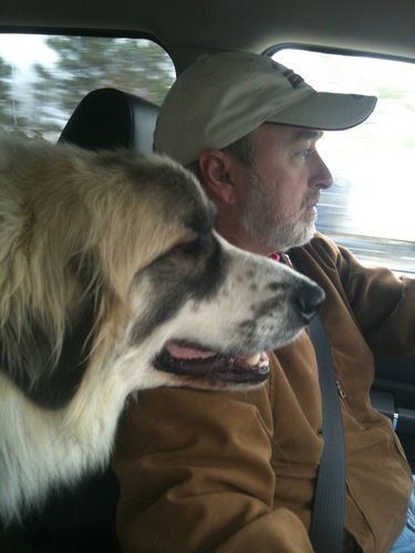 sheikofbismarck's profile picture. 