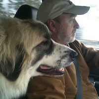 Lewis Mathews (@sheikofbismarck) 's Twitter Profile