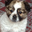 Ana Maria Pop - @anytamarye - Twitter