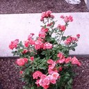 Lorraine Owens - @LORRAINEOWENS - Twitter