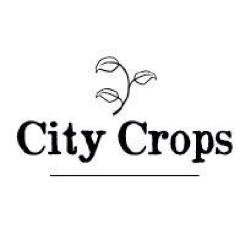 CityCropsCo's profile picture. We build (free) veggie gardens. You lend us a part of your yard and get 1/4 of what we grow in it. Call us! 613-325-3171