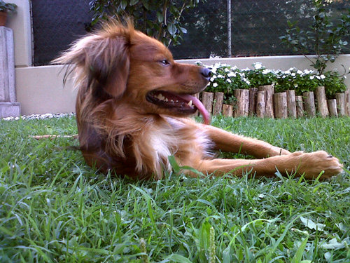 enricotiveron's profile picture. 