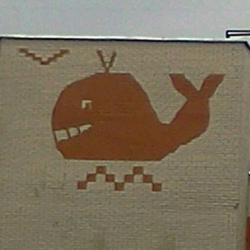 ababaka's profile picture. meme