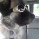 Phillip Carey - @Phill_Fox - Twitter