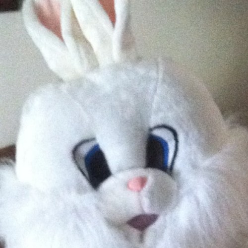 mmsy0415's profile picture. 