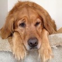 Chris Endres - @endres32 - Twitter