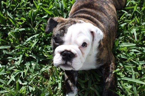 killion06's profile picture. 