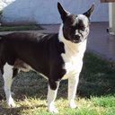 patricia don - @patricia5410 - Twitter