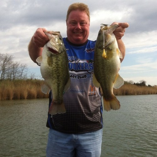 Dave222461's profile picture. 